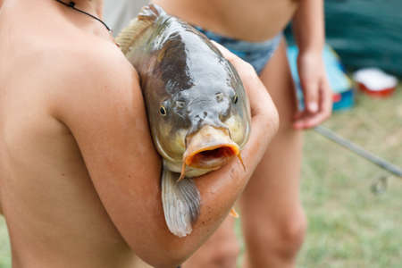 Several Children caught a huge carp fishing and keep it in your handsの写真素材