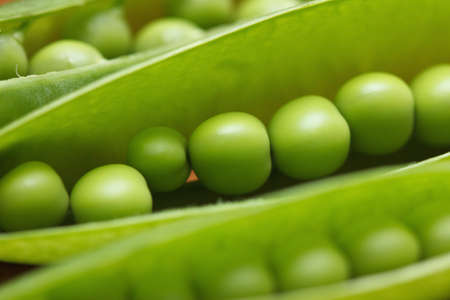 green peas on the wooden table closeupの写真素材