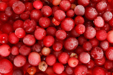 Macro shot of a Frozen red currant. Ready for long-term storageの写真素材