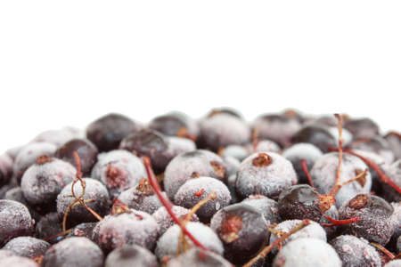 Macro shot of a Frozen black currant. Ready for long-term storageの写真素材