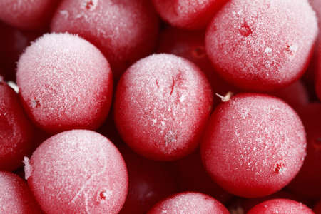 Guelderrose, or guelder-rosefrozen stocks for the winter, ice and snow. It can be used as...