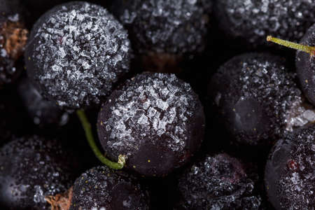 Backgroumd of Black currant frozen with ice and frost. Macroの写真素材