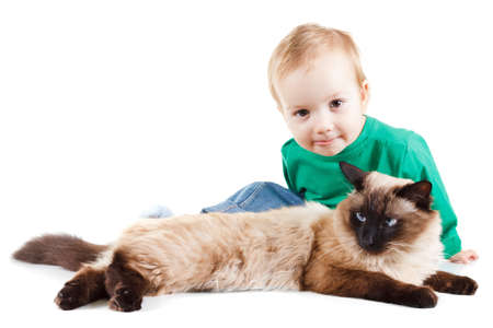 little boy with balinese cat isolated on white backgroundの写真素材
