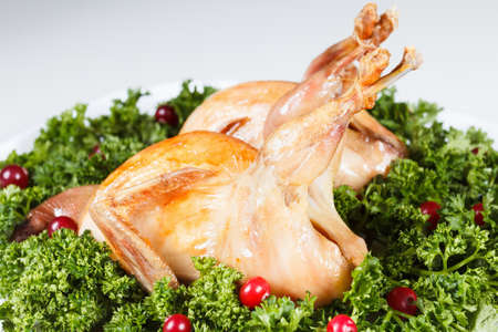 Carcasses of quail roasted with sweet and sour cranberry sauce and parsleyの写真素材