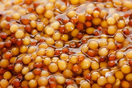 Background of typical french dijon rough mustard from above. Overhead view macro.の写真素材