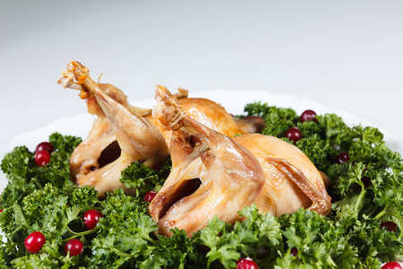 Carcasses of quail roasted with sweet and sour cranberry sauce and parsleyの写真素材