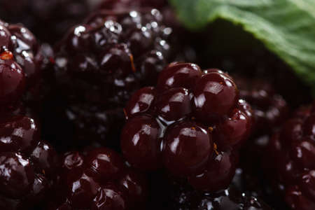 Juicy blackberries with mint leaves macro, may use as background