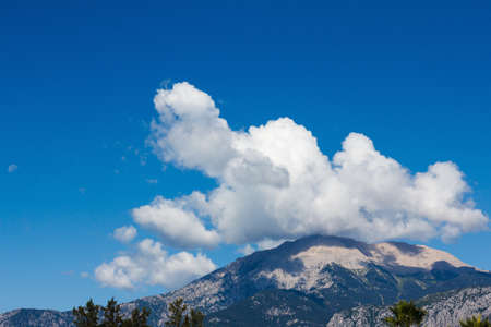 Top of a high mountain, covered with vegetation, in the cloud closeupの写真素材