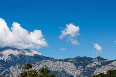 Top of a high mountain, covered with vegetation, in the cloud closeupの写真素材