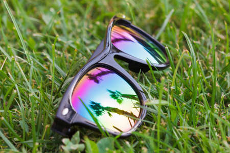Sunglasses multicolored lie on the green grass with beautiful reflection of palm treeの写真素材