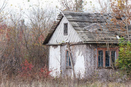 Abandoned hut among trees and bushes in autumnの写真素材