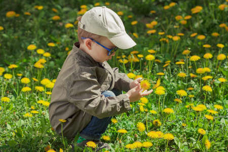 Child on green grass lawn with daisy and dandelion flowers on sunny summer day. Kid playing in garden. Little boy dreaming and relaxing.の写真素材