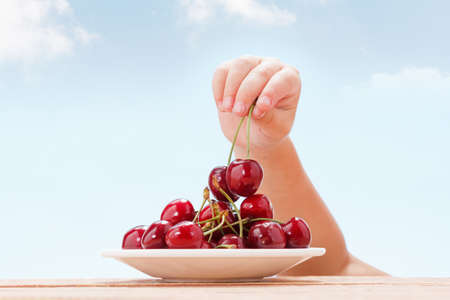 A small child's hand pulls ripe cherries from a plate on the tableの写真素材