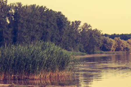 Sunset along the banks. The rays of the sun reflected in the riverの写真素材