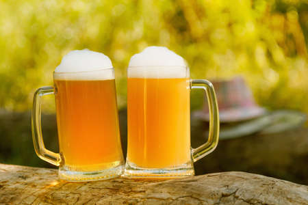 Octoberfest mug beer with hat on tree background.の写真素材