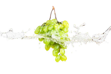 Blue and green grape with water splash isolated on whiteの写真素材