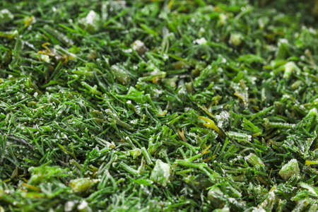 Cutting frozen fresh dill closeup as backgroundの写真素材