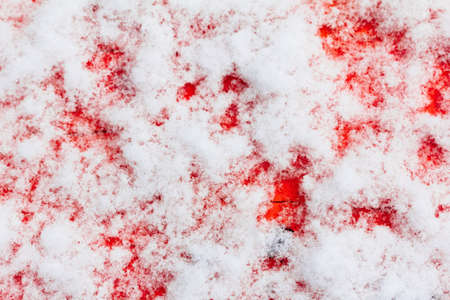 Snow on the painted wood background in winter close-upの写真素材