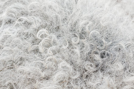 Dark sheep skin background close up texture abstract