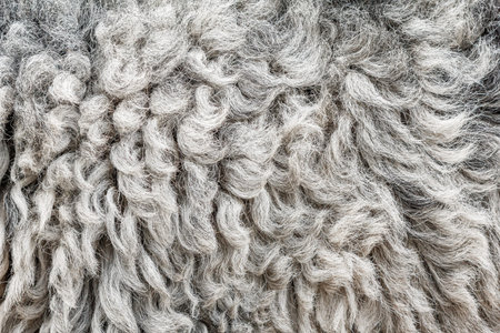 Dark sheep skin background close up texture abstract