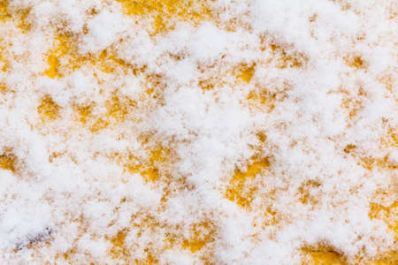 Snow on the painted wood background in winter close-upの写真素材