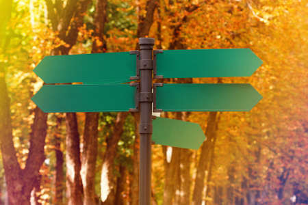 Blank directional road signs against autumn foliage. Green metal arrows on the signpost. Warm toned colors. Old style imageの写真素材