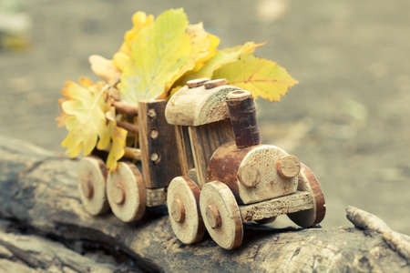 Colorful foliage background and a toy train. Fall October or November. Brightly colored maple leaves during autumn in park.の写真素材