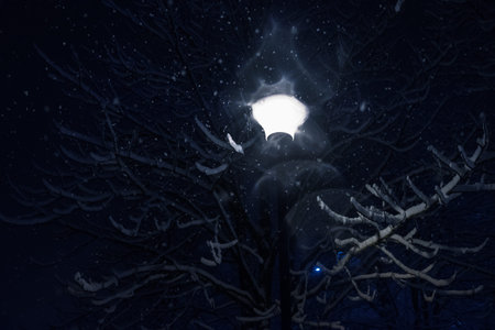 Antique frosty lamppost and beautiful snow covered branches background pattern against the night sky