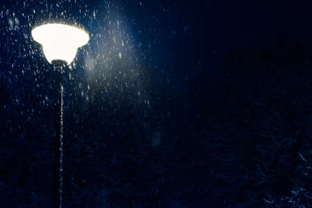 Antique frosty lamppost and beautiful snow covered branches against the night skyの写真素材