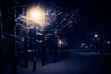 Night Winter Street Lamp With Falling Snow. Lanterns in evening park. Snowfall Christmas snowflakes. Xmas, New Year.の写真素材