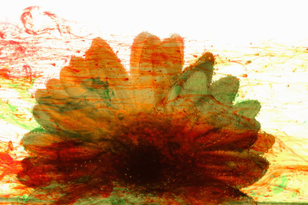 White flower gerbera isolated abstract painted with colorful drops.の写真素材