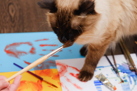 Artist paint brushes on wooden background, handmade craft art processの写真素材