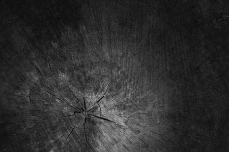Wood texture with natural patterns and rings from a large tree stump. Dark toned background with empty space.の写真素材