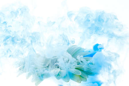 bright gerbera, daisy blue flower with splashes isolated on white background underwater ink abstractの写真素材