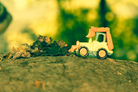 Sun beams and green leaves with toy tractor summer sunlightの写真素材