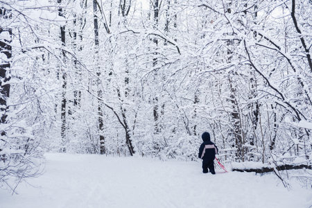 boy on a walk in the snowy winter forest of the parkの写真素材