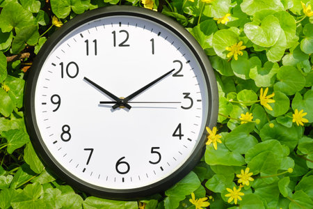 Clock on green grass with flowers, on nature background, deadline alarm concept, spring or summer....