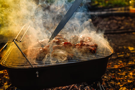 Smokehouse stands on the grass in a summer garden in nature. Smoking fish at home for your family,...