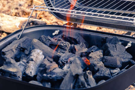 Smokehouse stands on the grass in a summer garden in nature. Smoking fish at home for your family, delicious food.の写真素材