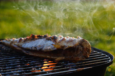 Hot mackerel fish on a grilling pan, with herb spices on coal fireの写真素材