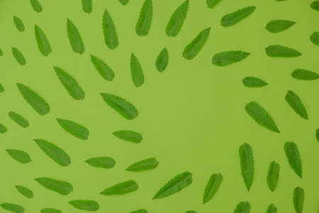 Creative layout made of green leaves. Flat lay. Nature conceptの写真素材