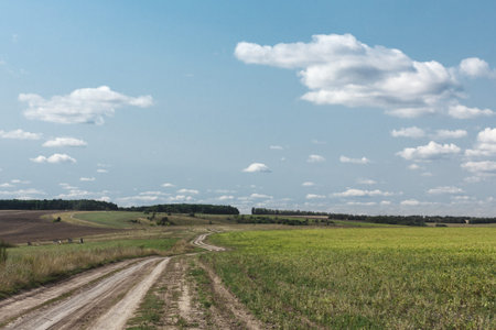 Empty countryside road through fields with grass and trees