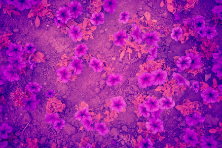 Trendy background color ultra violet flower concept of the year. Ultraviolet abstract backdrop.の写真素材