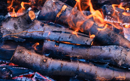 Bright hot coals and burning woods in bbq grill pit. Glowing and flaming charcoal, barbecue, red...