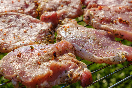 Raw meat on grill placed on grass. Barbecue, grill and food conceptの写真素材
