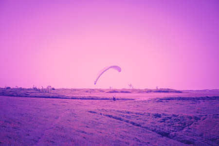 Paragliders in the blue sky above the green summer fieldの写真素材