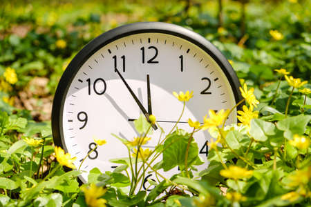 Clock on green grass with flowers, on nature background, deadline alarm concept, spring or summer. Abstract background.の写真素材