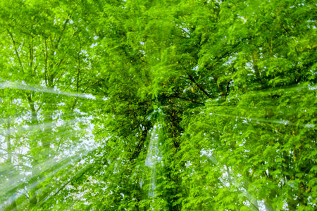 Abstract green background, tree in countryside outdoors. Zoom speed blured motion. Created by...