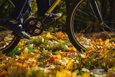 Bike and autumn leaves. Bicycle on ground covered in fallen autumn leaves. Image of autumn scene