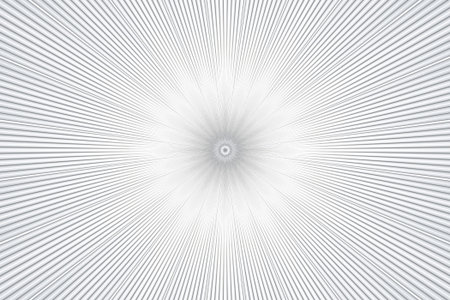 monochrome pattern background floral kaleidoscope illusion abstract. motifs indian.